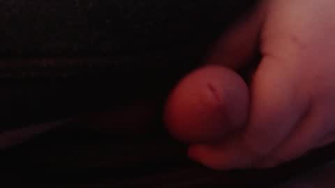 Snapshot of socksaddicted chatting on 01/26/25, 01:47 Tom online show from 01/26/25, 01:47