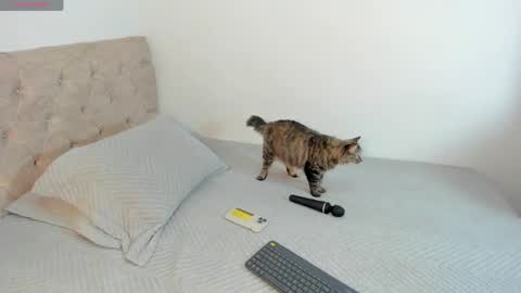 Snapshot of sofi_martinezz1 chatting on 04/16/26, 05:52 sofi_martinezz1 online show from 04/16/26, 05:52