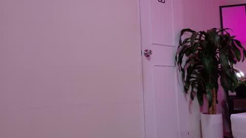 sofia__salazar online show from 02/05/26, 11:48