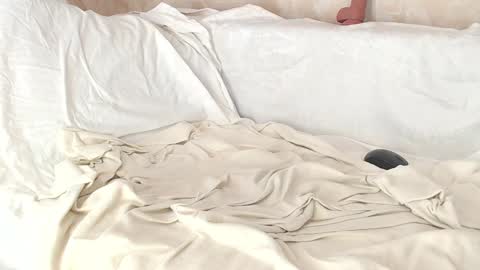 Sofia here online show from 01/08/25, 08:06