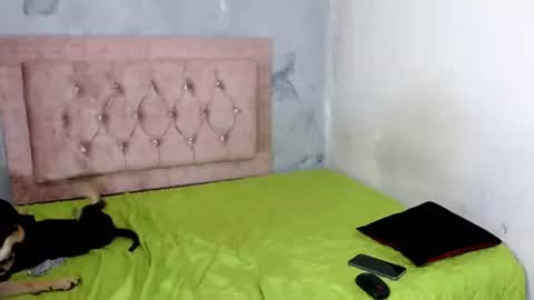 sofiadoll77 online show from 02/08/25, 09:03