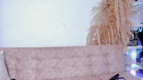 Snapshot of sofiasweett1 chatting on 02/09/25, 01:56 online show from 02/09/25, 01:56