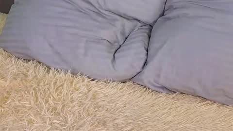 Milisa online show from 03/02/25, 06:19