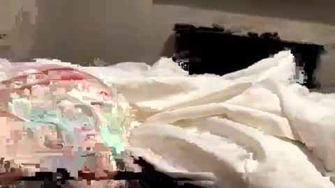 softslickandsweet online show from 02/04/25, 06:49