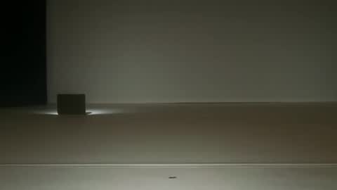Ol4 online show from 06/19/26, 08:51