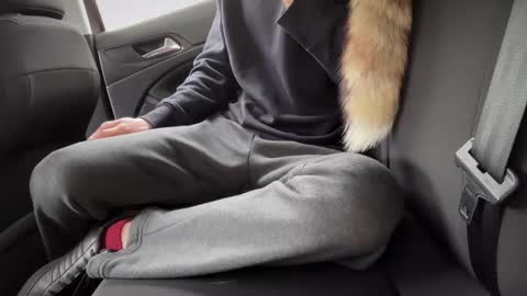 Sondages online show from 02/23/25, 08:49