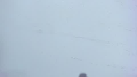 Sophia online show from 01/21/25, 03:04