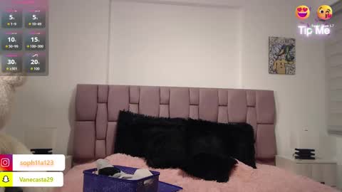 Snapshot of sophia_karsonn chatting on 12/20/24, 11:00 Sophia Carson online show from 12/20/24, 11:00