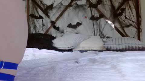 SophiaLee online show from 10/15/25, 11:27