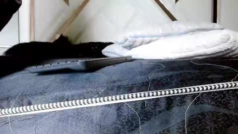 SophiaLee online show from 02/13/26, 01:12