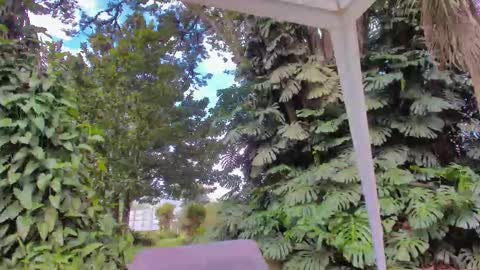 sophiaguzman_ online show from 01/16/26, 03:38