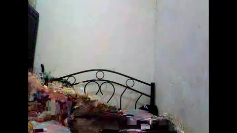 sophialaurel online show from 10/01/25, 06:52