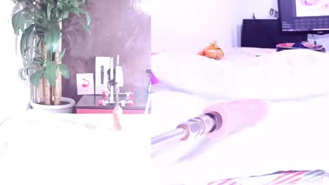 phi online show from 03/26/26, 09:53