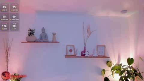Sofi online show from 05/04/26, 11:17