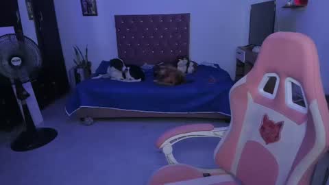 sophie doll online show from 06/25/26, 02:33