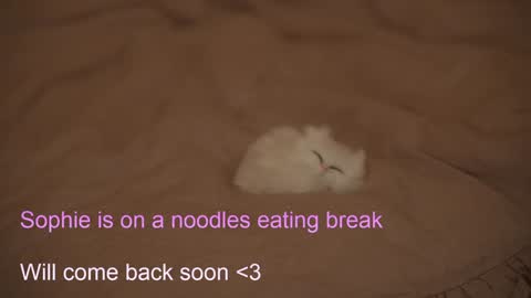 Sophie  Next stream  3 online show from 02/06/25, 07:40