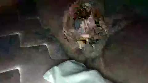 source1012 online show from 01/11/25, 05:31