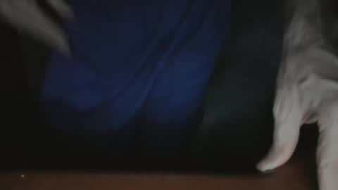 ScorpioKobra online show from 11/22/25, 05:17