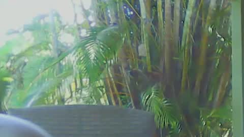 soveryhandsome online show from 04/12/26, 06:40