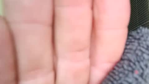 Snapshot of sowbilbao1 chatting on 04/05/26, 01:19 sowbilbao1 online show from 04/05/26, 01:19