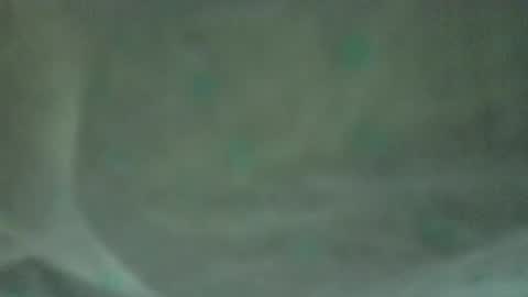 soycule2005 online show from 04/10/26, 10:36