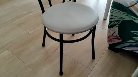 Snapshot of sparky_yena chatting on 03/02/26, 01:51 Leo online show from 03/02/26, 01:51