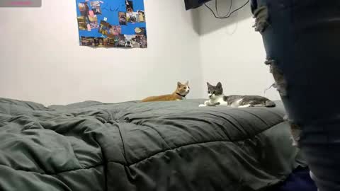 Snapshot of spartan_knight16 chatting on 09/13/25, 09:47 spartan_knight16 online show from 09/13/25, 09:47