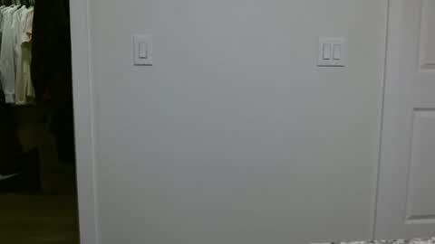 specialiest online show from 01/12/26, 06:13