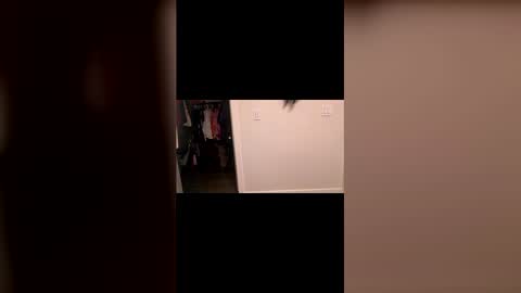 specialiest online show from 03/08/26, 08:45