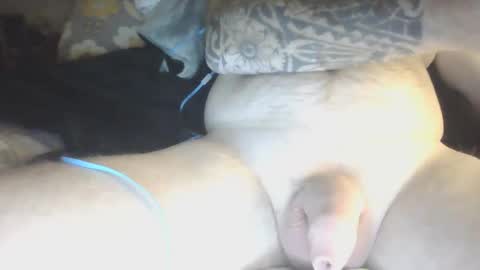 species online show from 01/29/25, 05:51