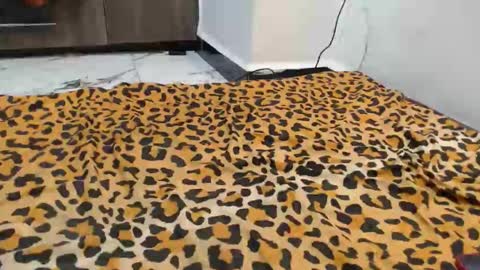 dela online show from 09/13/25, 12:43