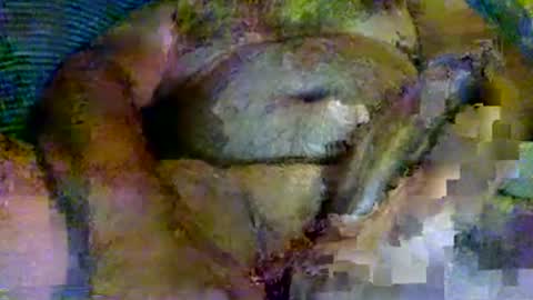 Snapshot of splinter8484 chatting on 08/07/26, 06:48 splinter8484 online show from 08/07/26, 06:48