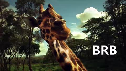 Snapshot of sport_tall_karina chatting on 01/18/25, 09:02 Karina online show from 01/18/25, 09:02