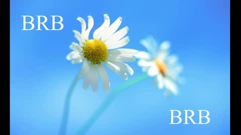 Snapshot of sport_tall_karina chatting on 02/28/25, 08:31 Karina online show from 02/28/25, 08:31