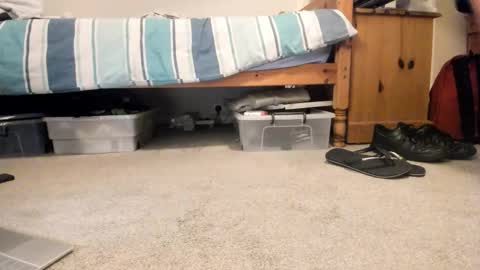 Sportyguy283 online show from 01/18/26, 09:18