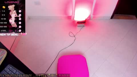 Snapshot of squeersex1 chatting on 12/18/24, 05:48 KIMY TEKASHI online show from 12/18/24, 05:48