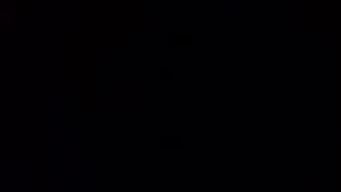 Squally Willy  MaryAnne online show from 01/30/25, 02:47