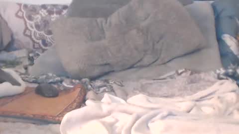 Snapshot of squirt_south_beach_withdaddy chatting on 01/16/25, 12:55 Squirt south beach withdaddy online show from 01/16/25, 12:55