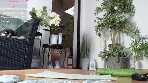 Monica online show from 01/01/25, 07:20