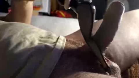 srb543 online show from 12/16/25, 09:09