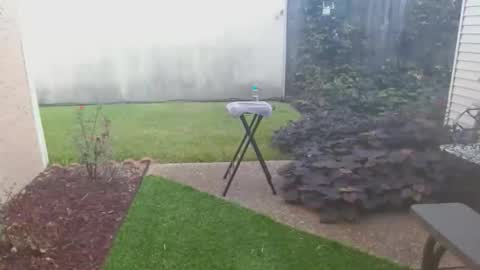 srtxshow online show from 10/21/25, 02:07