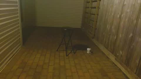 srtxshow online show from 10/23/25, 11:53