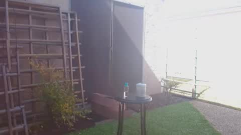 srtxshow online show from 02/07/26, 06:00