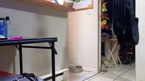 Submissive Slut LOVES adoration online show from 11/20/25, 03:18