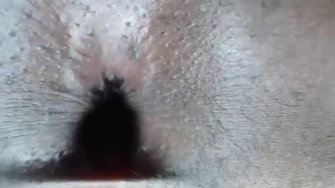 calvin online show from 02/26/26, 06:12