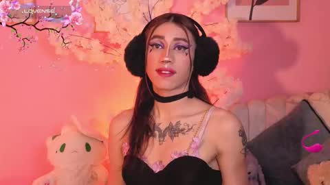  estrellita online show from 09/11/25, 10:10