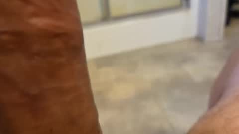 stareyes0249 online show from 09/11/25, 10:32