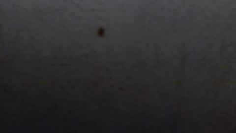 starguy600 online show from 01/11/26, 07:46