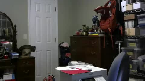 stasw20 online show from 01/25/25, 03:09