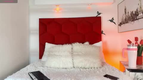 Snapshot of steev_novoa chatting on 02/10/26, 04:05 Steev online show from 02/10/26, 04:05